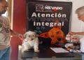 Este #23mar Misión Nevado ofrecerá Jornada Integral de Atención para perros y gatos