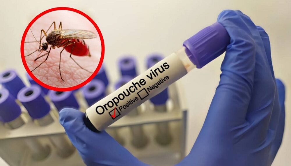 Infectólogo Julio Castro explica las diferencias y similitudes entre el virus Oropouche y el dengue