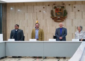 Gobierno Nacional conformará plan estratégico en respaldo a los venezolanos