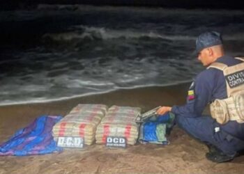 Operación Relámpago del Catatumbo incautó otros 994 kilos de cocaína en el Zulia