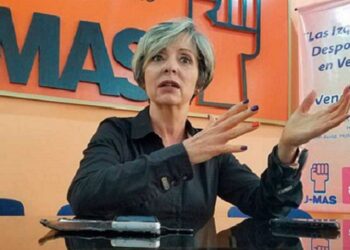 El MAS denuncia «campaña difamatoria» contra opositores que llaman a votar el 25 de mayo