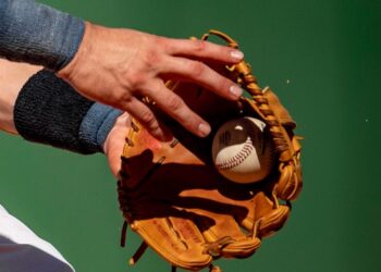 19 peloteros venezolanos piden asilo en España