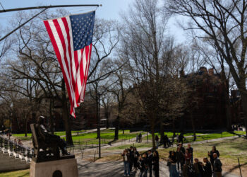 «Será perjudicial para EEUU»: gobiernos  rechazan veto a estudiantes extranjeros en Harvard
