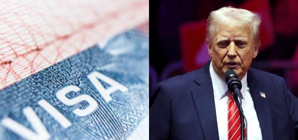 EEUU suspende  tramitación de visas para estudiantes extranjeros: quiere vigilar sus RR.SS.