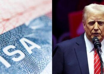 EEUU suspende  tramitación de visas para estudiantes extranjeros: quiere vigilar sus RR.SS.