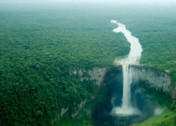 Conozca los nombres de los aspirantes a convertirse en el primer gobernador de la Guayana Esequiba