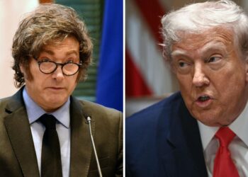 Milei sigue los pasos de Trump y ratifica salida de la OMS: «sus recetas no funcionan»