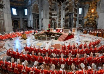 Violencia sexual, divisiones internas, diplomacia: los desafíos del sucesor del Papa Francisco