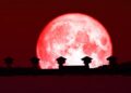 La «Luna de fresa» se mostrará en su máximo esplendor  ¿Por qué ocurre este fenómeno?