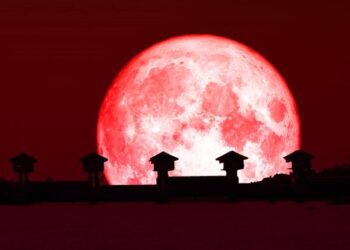 La «Luna de fresa» se mostrará en su máximo esplendor  ¿Por qué ocurre este fenómeno?