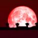 La «Luna de fresa» se mostrará en su máximo esplendor  ¿Por qué ocurre este fenómeno?