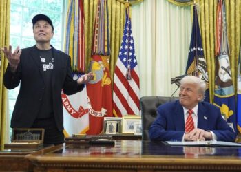 Musk en guerra pública con Trump: «Sin mí no sería presidente»