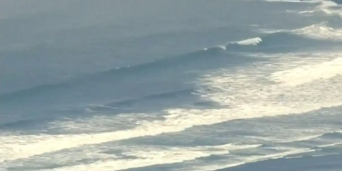 Olas de tsunami impactan en los tres estados de la costa oeste de EEUU