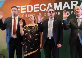Felipe Capozzolo nuevo presidente de Fedecámaras