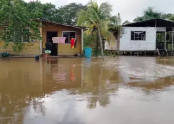 Nivel del Río Orinoco sigue descendiendo en Amazonas