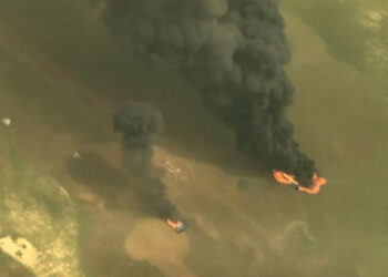 FANB neutraliza 23 aeronaves del narcotráfico en lo que va de este 2025