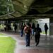 Estudiantes de la UCV agradecieron al Vaticano por la canonización de los primeros santos venezolanos