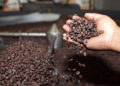 Estiman que la producción de café en Venezuela cerrará este año con un incremento de 40%