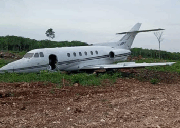 FANB neutralizó aeronave «usada para el narcotráfico en Apure