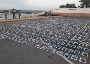 Gobierno incautó 65,5 toneladas de drogas en lo que va de 2025