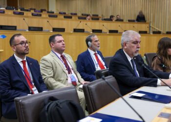 Venezuela propone mayor protagonismo de las naciones africanas en el Consejo de Seguridad de la ONU