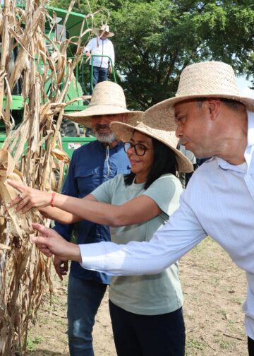 Con casi 600 mil hectáreas sembradas, inicia el Plan Cosecha de Maíz del ciclo invierno