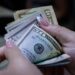 BCV actualiza la cotización del dólar y el euro