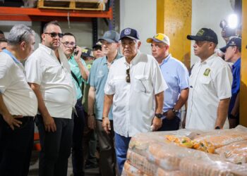 Expertos venezolanos llegan a Panamá para apoyar en la evaluación de daños tras sismos